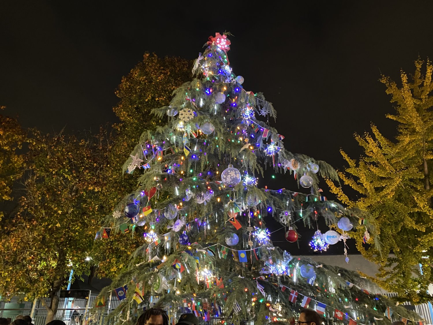 Rose City Christmas Parade canceled, tree lighting postponed due