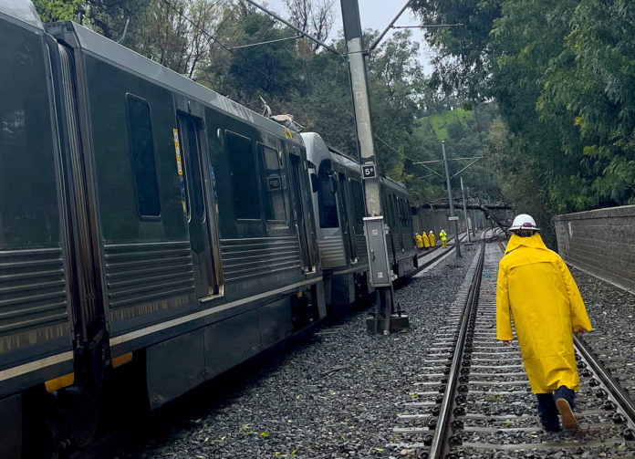 METRO L-Line hit tree on tracks during rainstorm