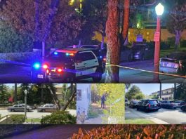 Updated: South Pasadena elderly woman found stabbed to Death on Brent. Woman murdered.