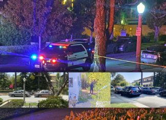 Updated: South Pasadena elderly woman found stabbed to Death on Brent. Woman murdered.