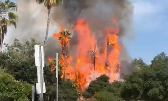 PHOTO: Fire at Arroyo Park South Pasadena 7-22-2023 | Social Media Screenshot