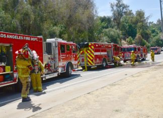 The South Pasadenan News | Structure Fire at Arroyo Park on Marmion Way 1:30pm Sunday. South Pasadena Fire, Los Angeles Fire Departments on scene.