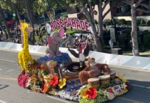 PHOTO: Bill Glazier | The South Pasadenan | “Gertie,” the beloved Giraffe from SPTOR’s 2024 “Boogie Fever” float, will be on-hand for the festivities at the May 4, 2024, Fun-Raiser benefitting SPTOR’s 2025 float.
