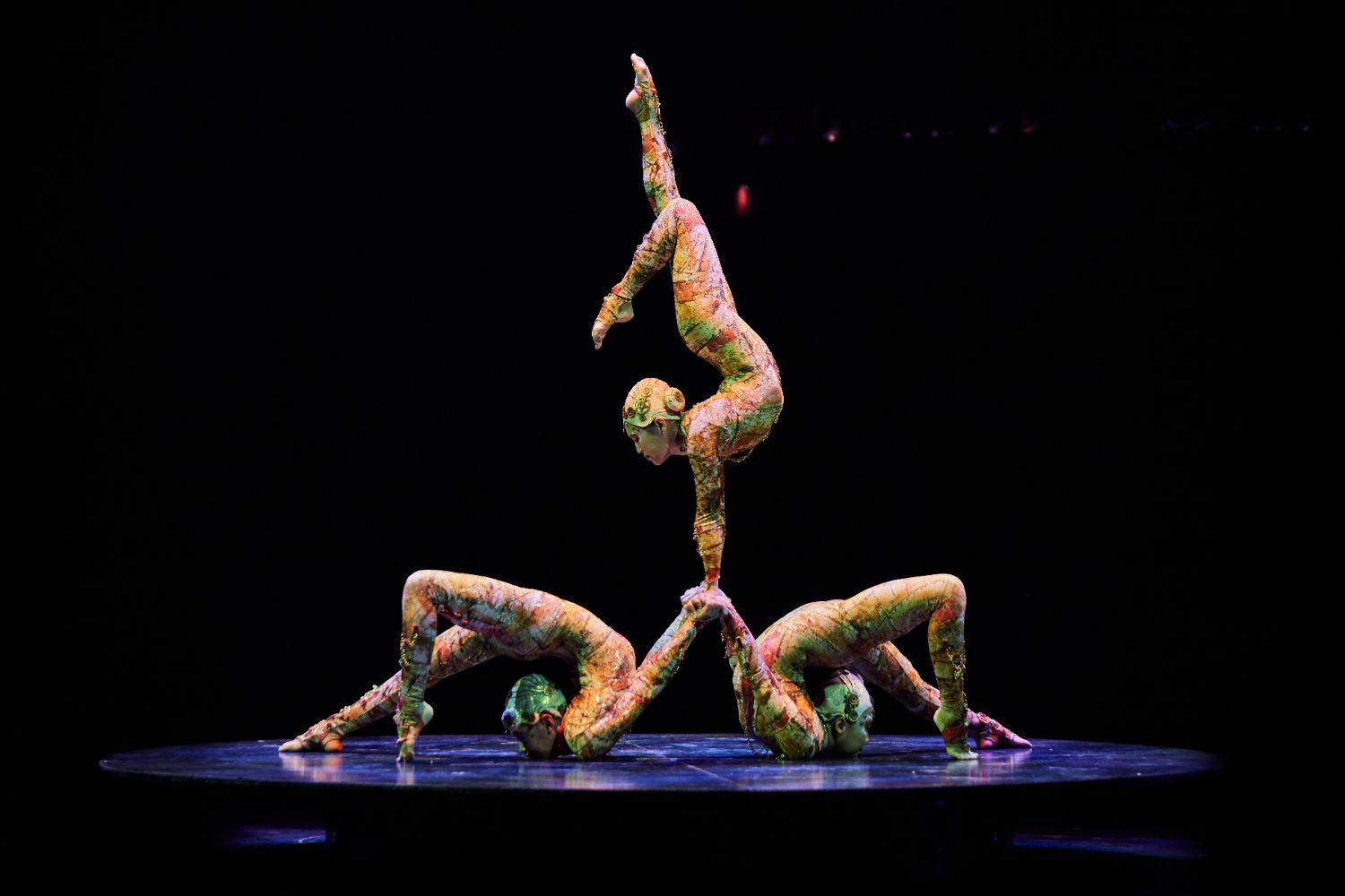 PHOTO: Matt Beard | The South Pasadenan | The contortionists in Cirque du Soleil's KOOZA
