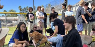 PHOTO: provided by SPUSD | The South Pasadenan | SPHS students engage with Guide Dogs of America dogs in training during Mental Health Week activities.