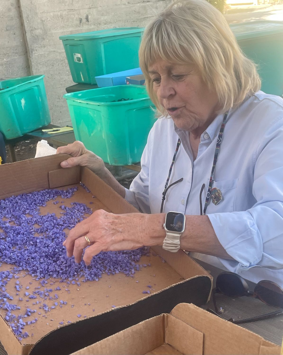 PHOTO: Sally Kilby | The South Pasadenan | Deco Squad member Karen Ball cuts dried statice blossoms off stems at a recent work session. They will be gathered and glued onto the “Boogie Fever” float later in the decoration process.