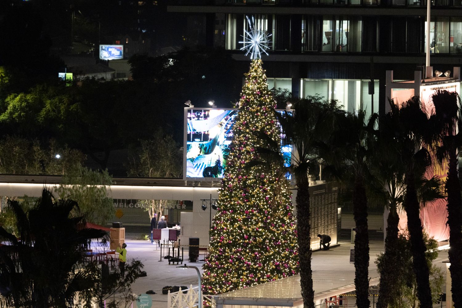 PHOTO: provided by The Music Center | The South Pasadenan | Tree lighting on Jerry Moss Plaza in downtown LA. 
