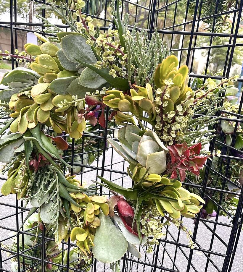 PHOTO: provided by Woman's Club of South Pasadena | The South Pasadenan | Artful Succulents will be one of the curated artisans at the Sip & Shop Soiree.