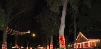 PHOTO: Henk Friezer | The South Pasadenan | Local streets lit up for the holidays